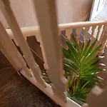 Infernino Apartmán Santiago de Compostela